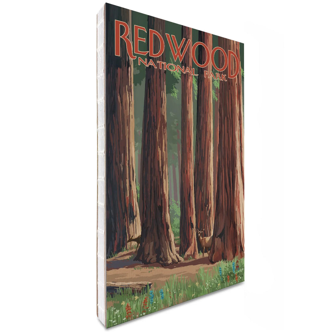 Lined 6x9 Journal, Redwood National Park, Forest Grove in Spring, Lay Flat, 193 Pages, FSC paper
