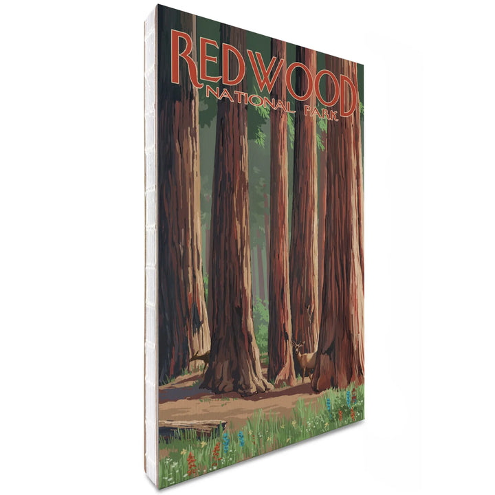 Lined 6x9 Journal, Redwood National Park, Forest Grove in Spring, Lay Flat, 193 Pages, FSC paper