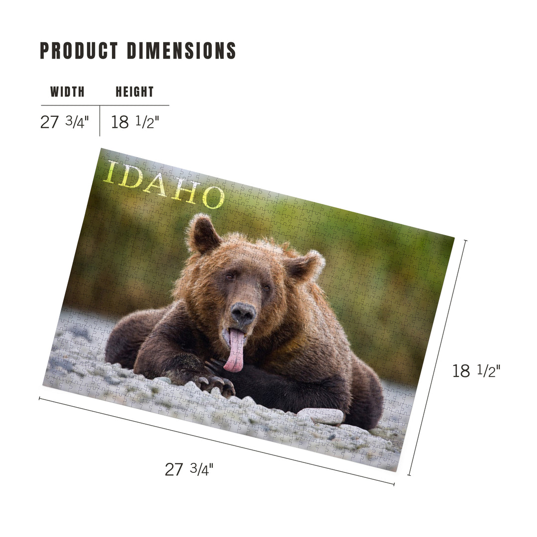Idaho, Photography, Grizzly Bear with Tongue Out, 1000 Piece Jigsaw Puzzle