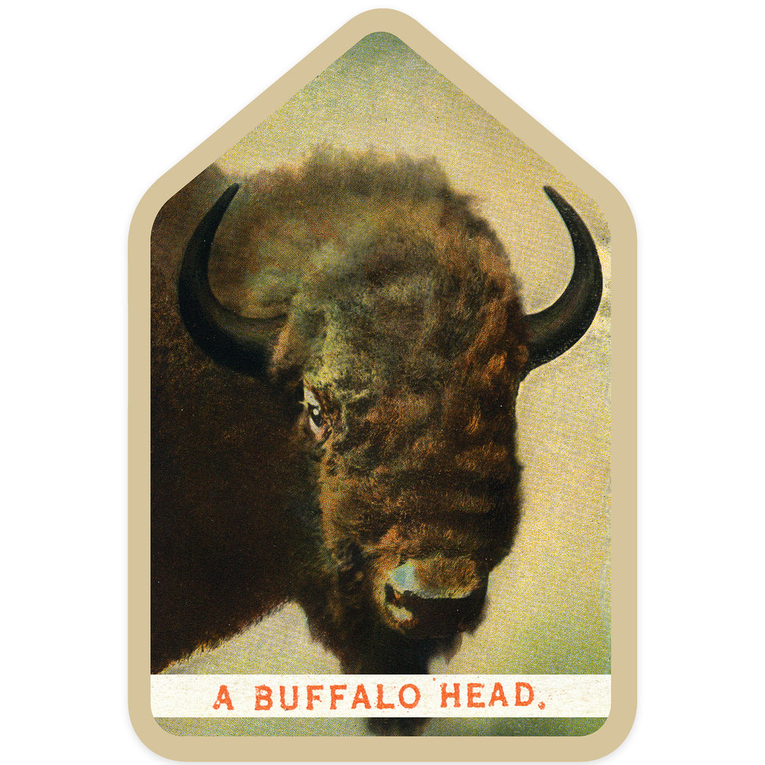 Yellowstone National Park, Wyoming, View of a Buffalo Head, Contour, Vinyl Sticker