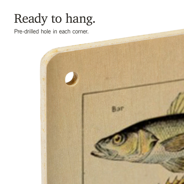 Fish, C, Vintage Bookplate, Adolphe Millot Artwork, Wood Sign and Postcards