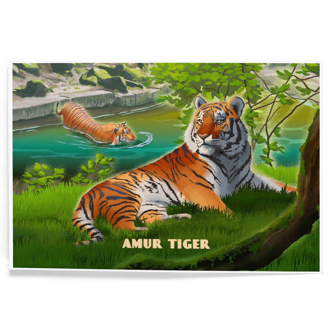 Lithograph Wildlife Amur (Siberian) Tiger, Art & Giclee Prints