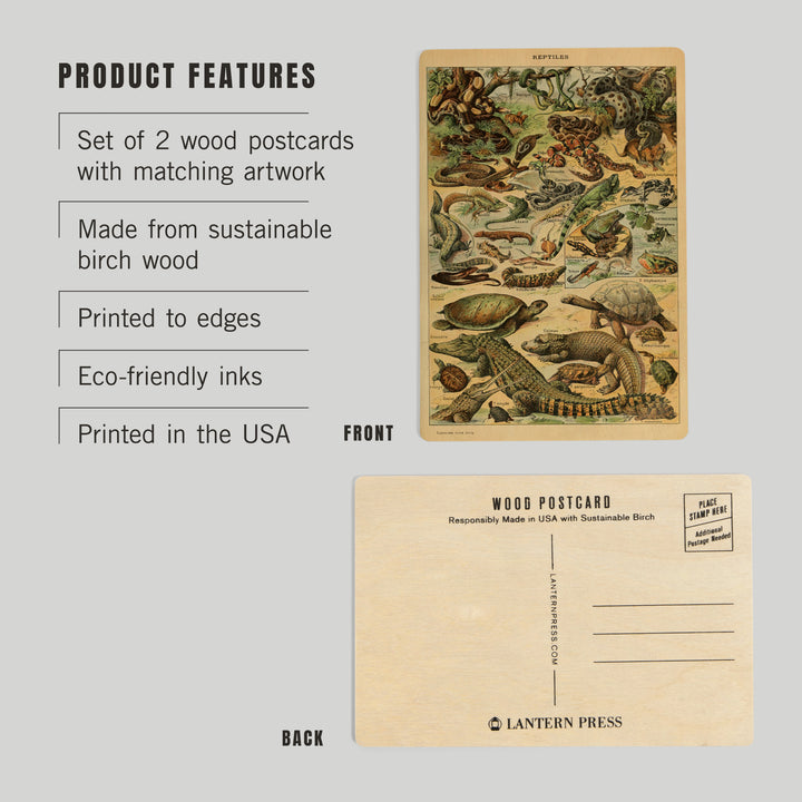 Reptiles, B, Vintage Bookplate, Adolphe Millot, Wood Sign and Postcards