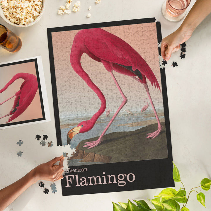 Audubon Birds of North America, Flamingo, 1000 Piece Jigsaw Puzzle