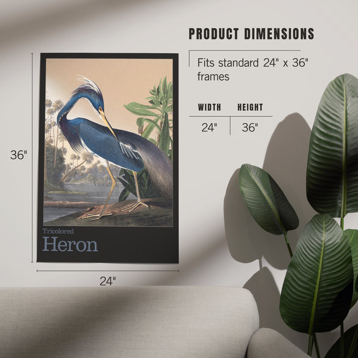 Audubon Birds of North America, Heron, Art & Giclee Prints