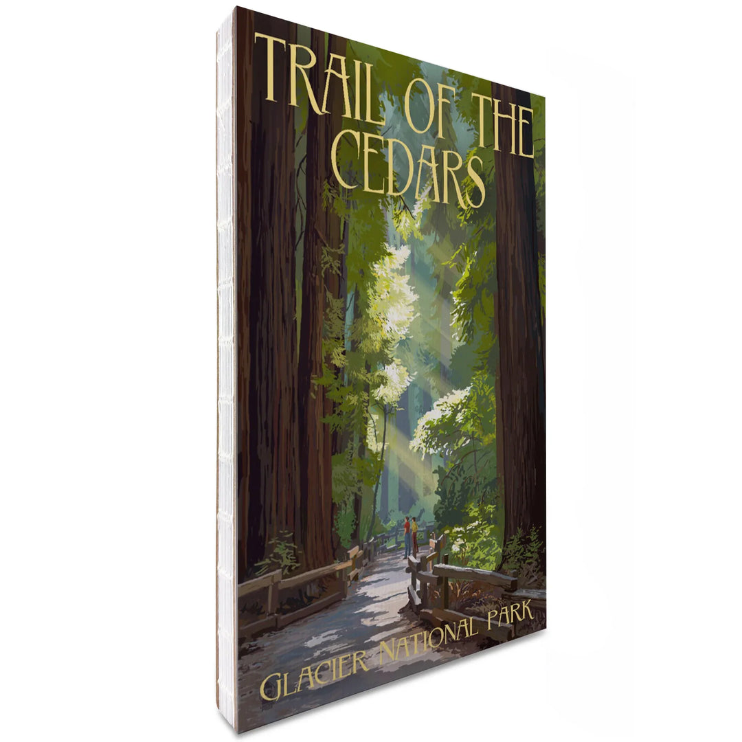 Lined 6x9 Journal, Glacier National Park, Montana, Trail of the Cedars, Lay Flat, 193 Pages, FSC paper