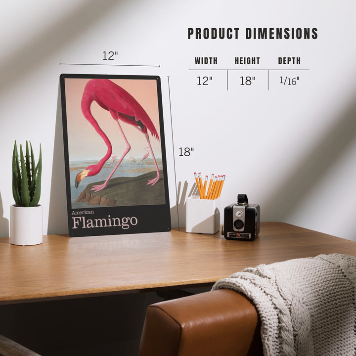 Audubon Birds of North America, Flamingo, 12x18 Metal Sign