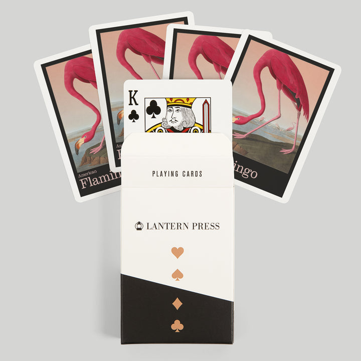Playing Cards, Audubon Birds of North America, Flamingo, 52 Card Deck with Jokers in Box, Unique Art