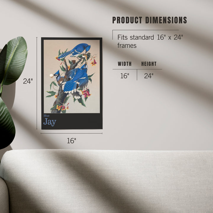 Audubon Birds of North America, Blue Jay, Art & Giclee Prints