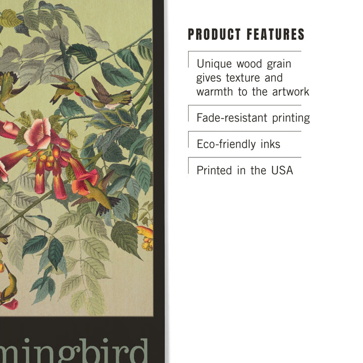 Audubon Birds, North America Hummingbird, Wood Sign and Postcards