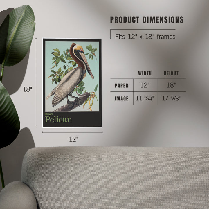 Audubon Birds, North America Brown Pelican, Art & Giclee Prints