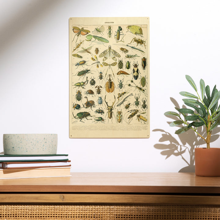 Insects, B, Vintage Bookplate, Adolphe Millot, Wood Sign and Postcards