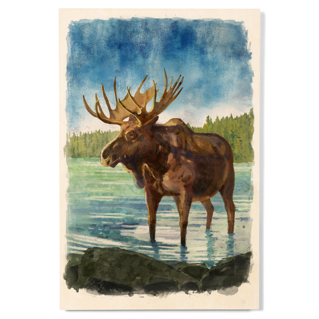 Watercolor Study, Moose, Wood Signs and Postcards