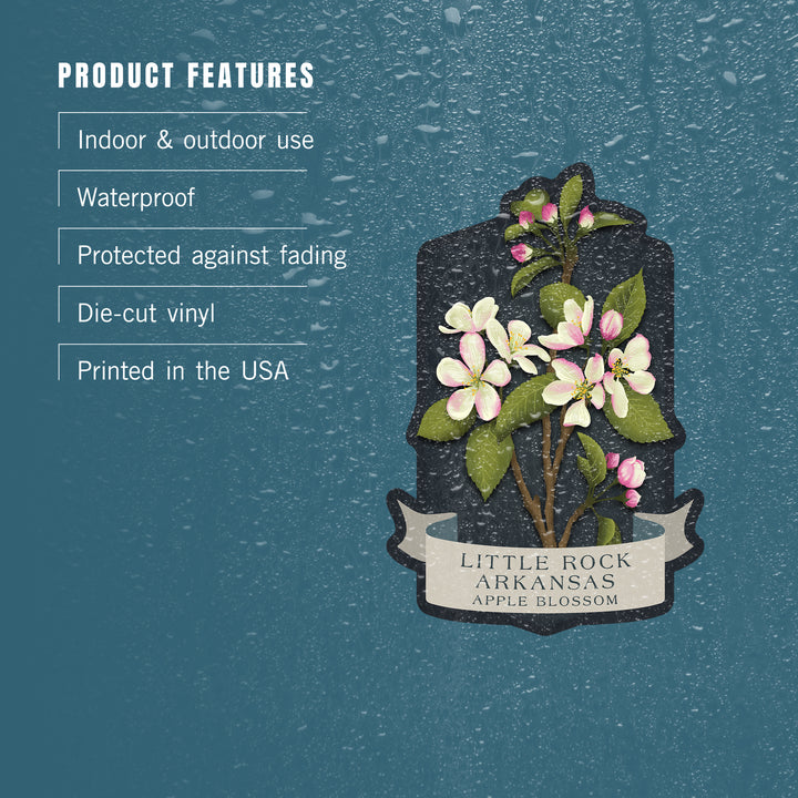 Little Rock, Arkansas, Vintage Flora Noir, Apple Blossom, Vinyl Sticker