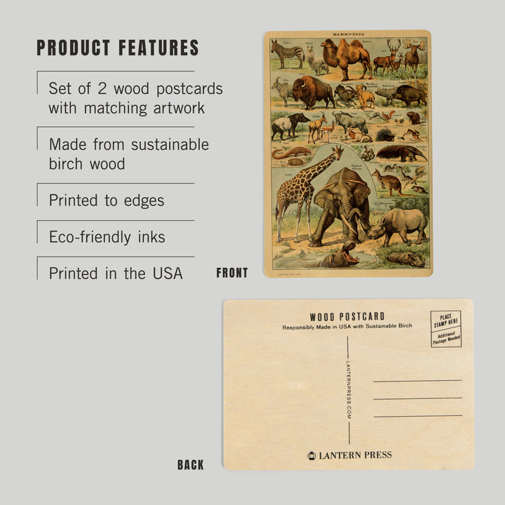 Mammals, B, Vintage Bookplate, Adolphe Millot, Wood Sign and Postcards