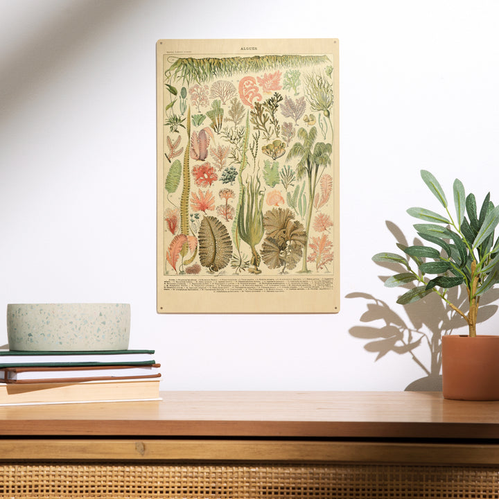 Algae, Vintage Bookplate, Adolphe Millot Artwork, Wood Sign and Postcards