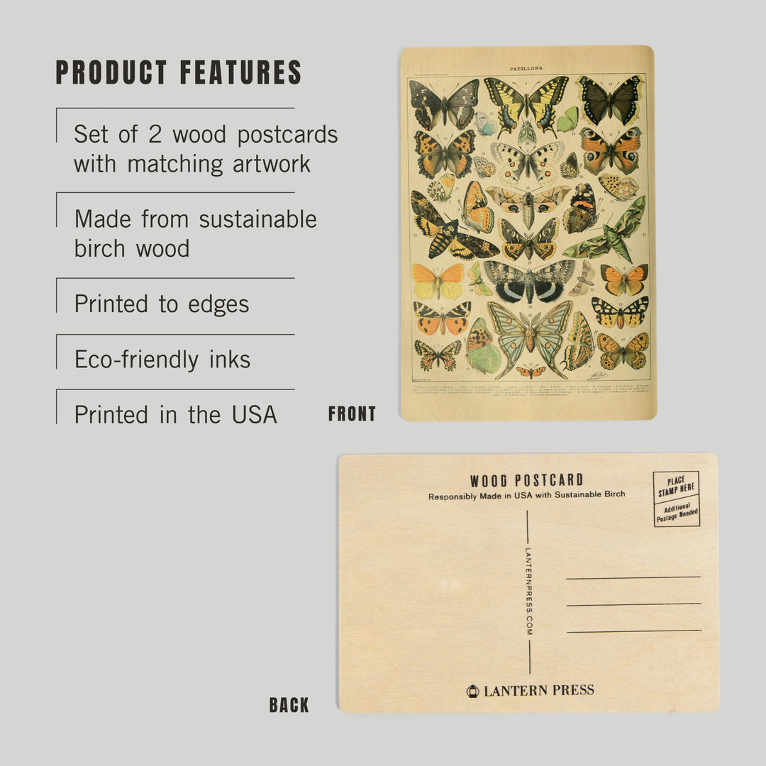Butterflies, A, Vintage Bookplate, Adolphe Millot, Wood Sign and Postcards