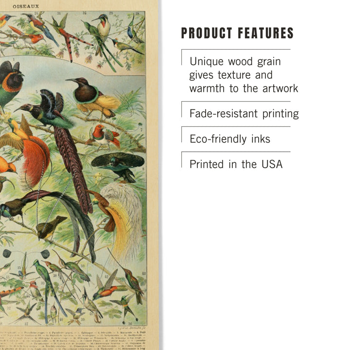 Birds, B, Vintage Bookplate, Adolphe Millot, Wood Sign and Postcards