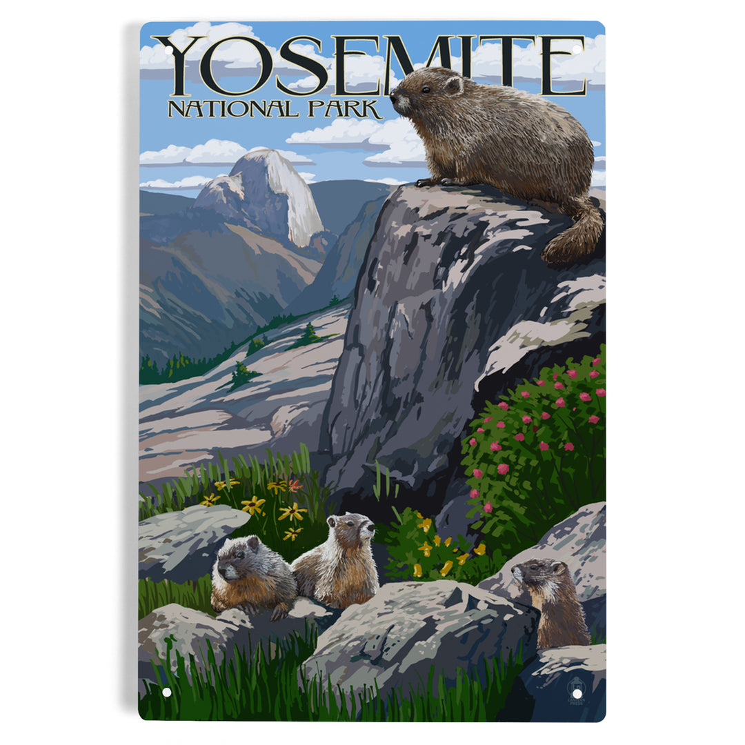Yosemite National Park, California, Marmots, Metal Signs