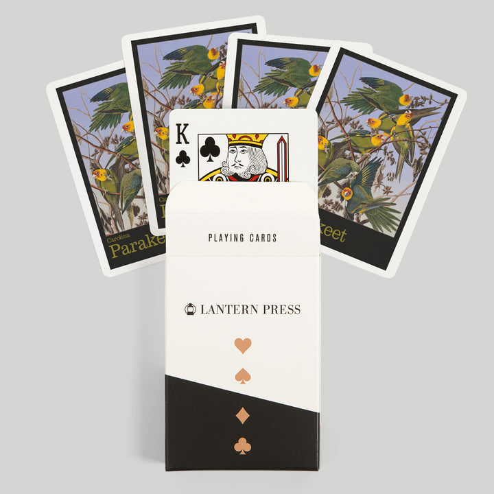 Playing Cards, Audubon Birds of North America, Parakeet, 52 Card Deck with Jokers in Box, Unique Art