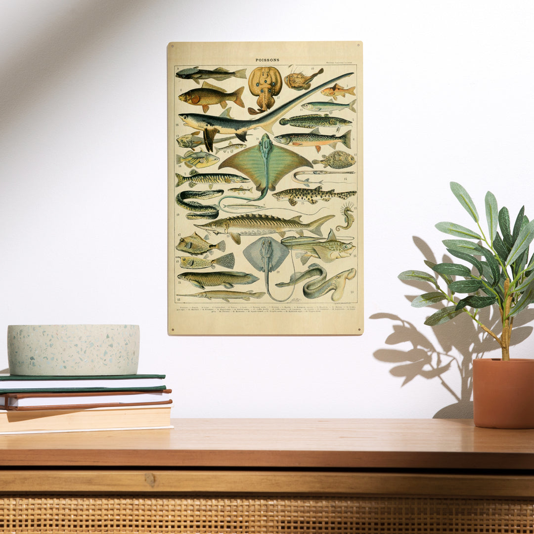 Fish, B, Vintage Bookplate, Adolphe Millot Artwork, Wood Sign and Postcards