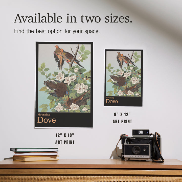 Audubon Birds North America Mourning Dove, Art & Giclee Prints