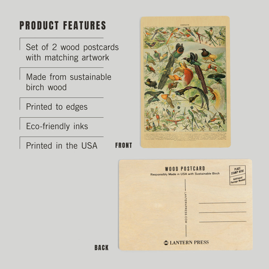 Birds, B, Vintage Bookplate, Adolphe Millot, Wood Sign and Postcards