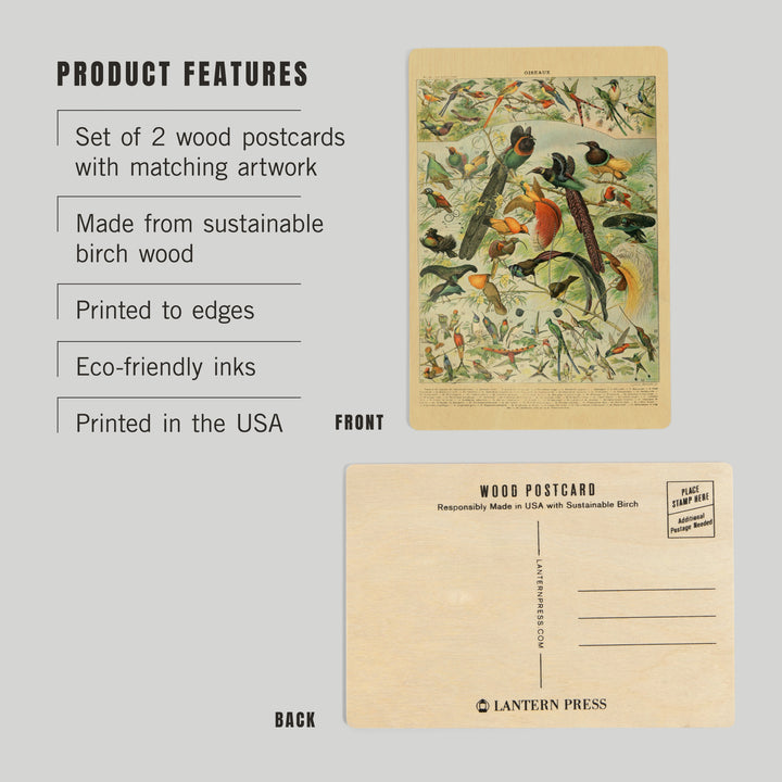 Birds, B, Vintage Bookplate, Adolphe Millot, Wood Sign and Postcards