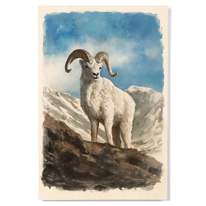 Watercolor Study, Dall Sheep, Wood Signs and Postcards