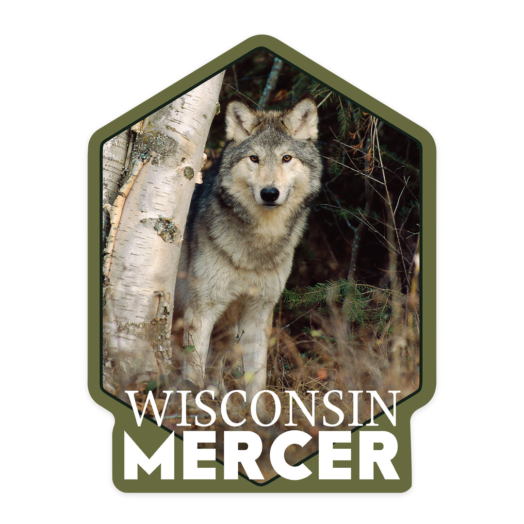 Mercer, Wisconsin, Wolf in Forest, Contour, Vinyl Sticker