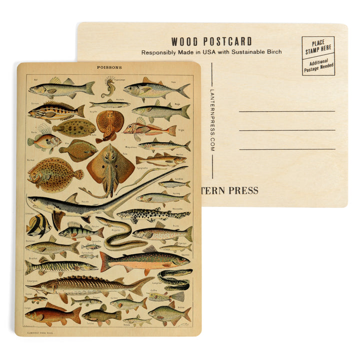Fish, C, Vintage Bookplate, Adolphe Millot Artwork, Wood Sign and Postcards