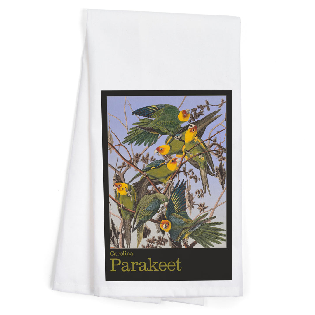 Audubon Birds of North America, Parakeet, Organic Cotton Kitchen Tea Towels