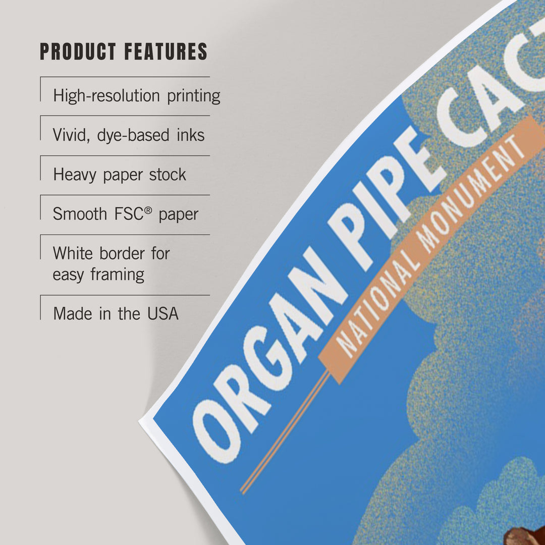 Organ Pipe Cactus National Monument, Arizona, Mountain Lion, Lithograph, Art & Giclee Prints