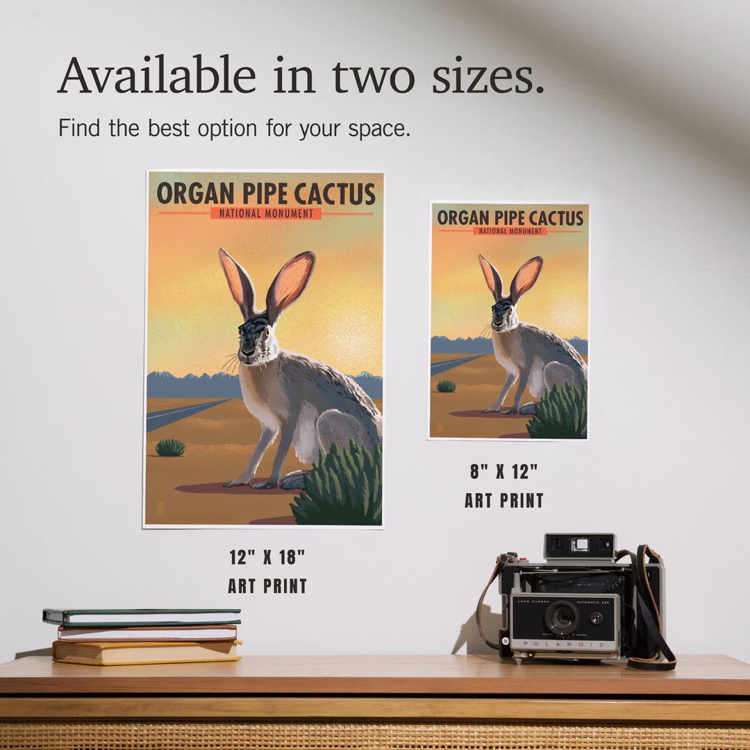 Organ Pipe Cactus National Monument, Arizona, Jackrabbit, Lithograph, Art & Giclee Prints