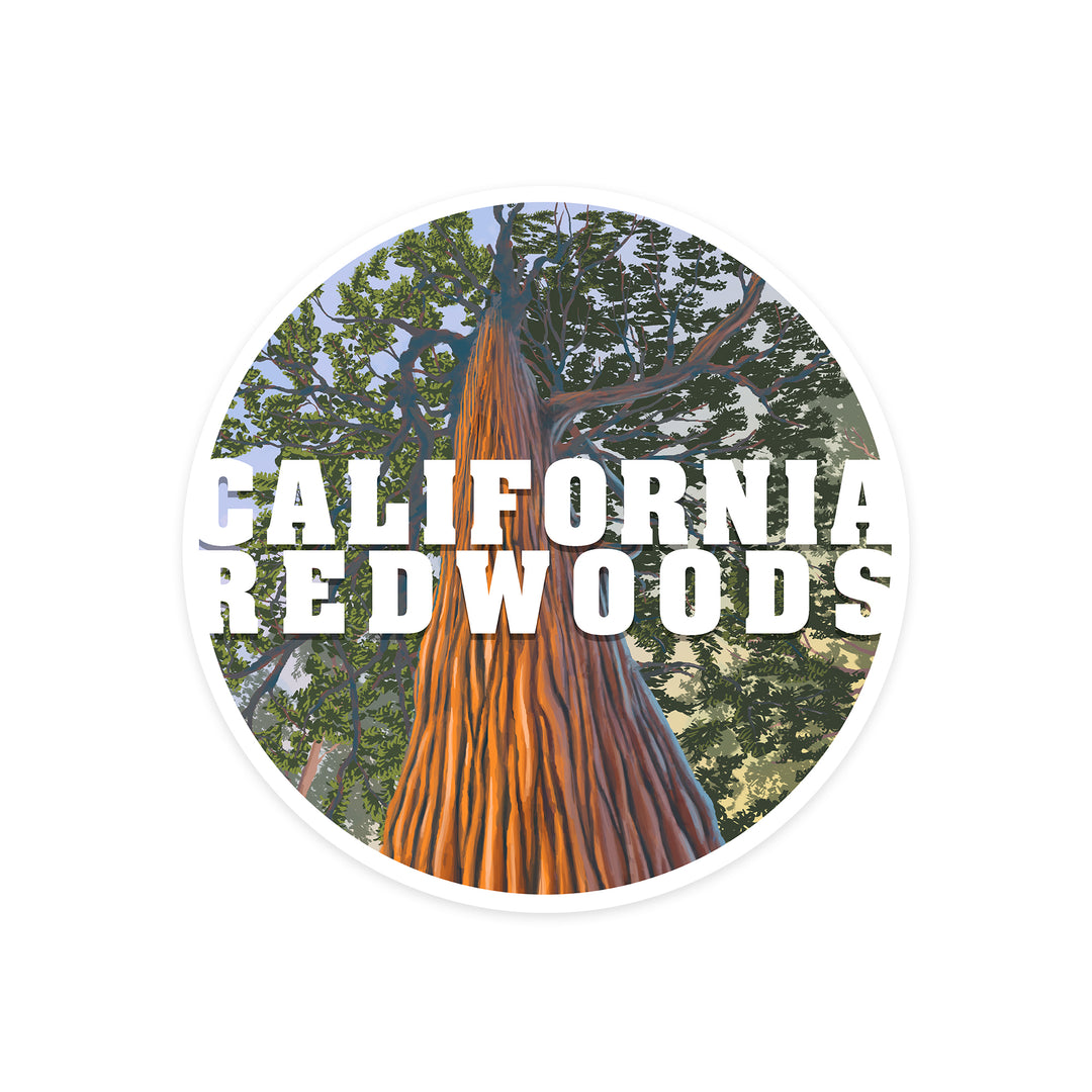 California Redwoods, Looking Up Tree, Contour, Vinyl Sticker