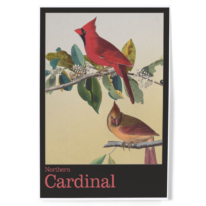 Audubon Birds of North America, Cardinal, Art & Giclee Prints