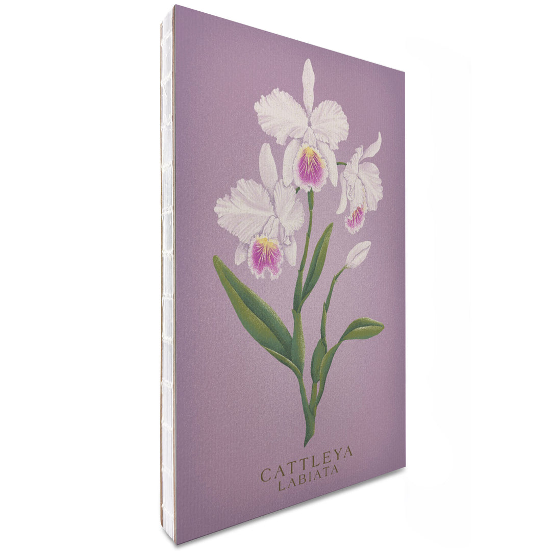 Lined 6x9 Journal, Cattleya, Orchid, Vintage Flora, Lay Flat, 193 Pages, FSC paper