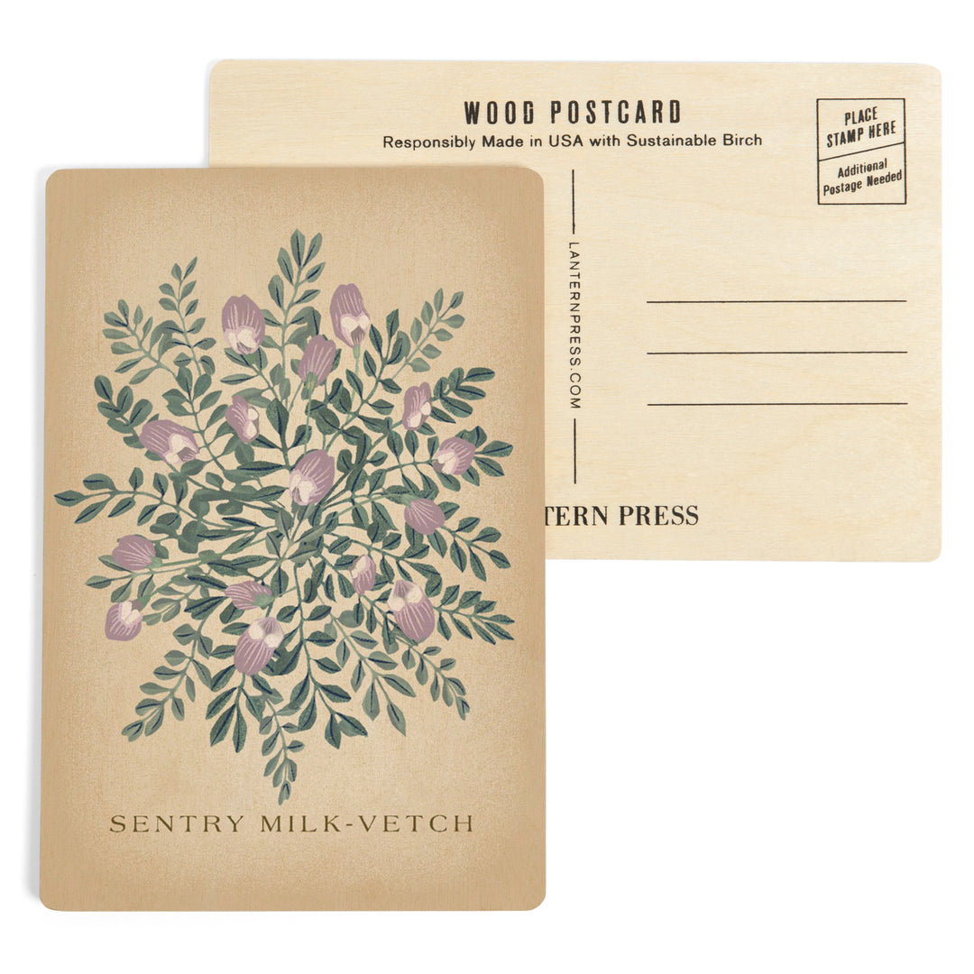 Sentry Milk-Vetch, Vintage Flora, Wood Sign and Postcards