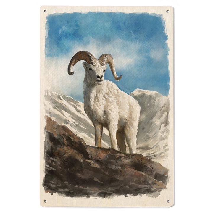 Watercolor Study, Dall Sheep, Wood Signs and Postcards