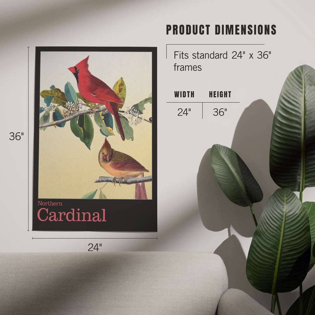 Audubon Birds of North America, Cardinal, Art & Giclee Prints