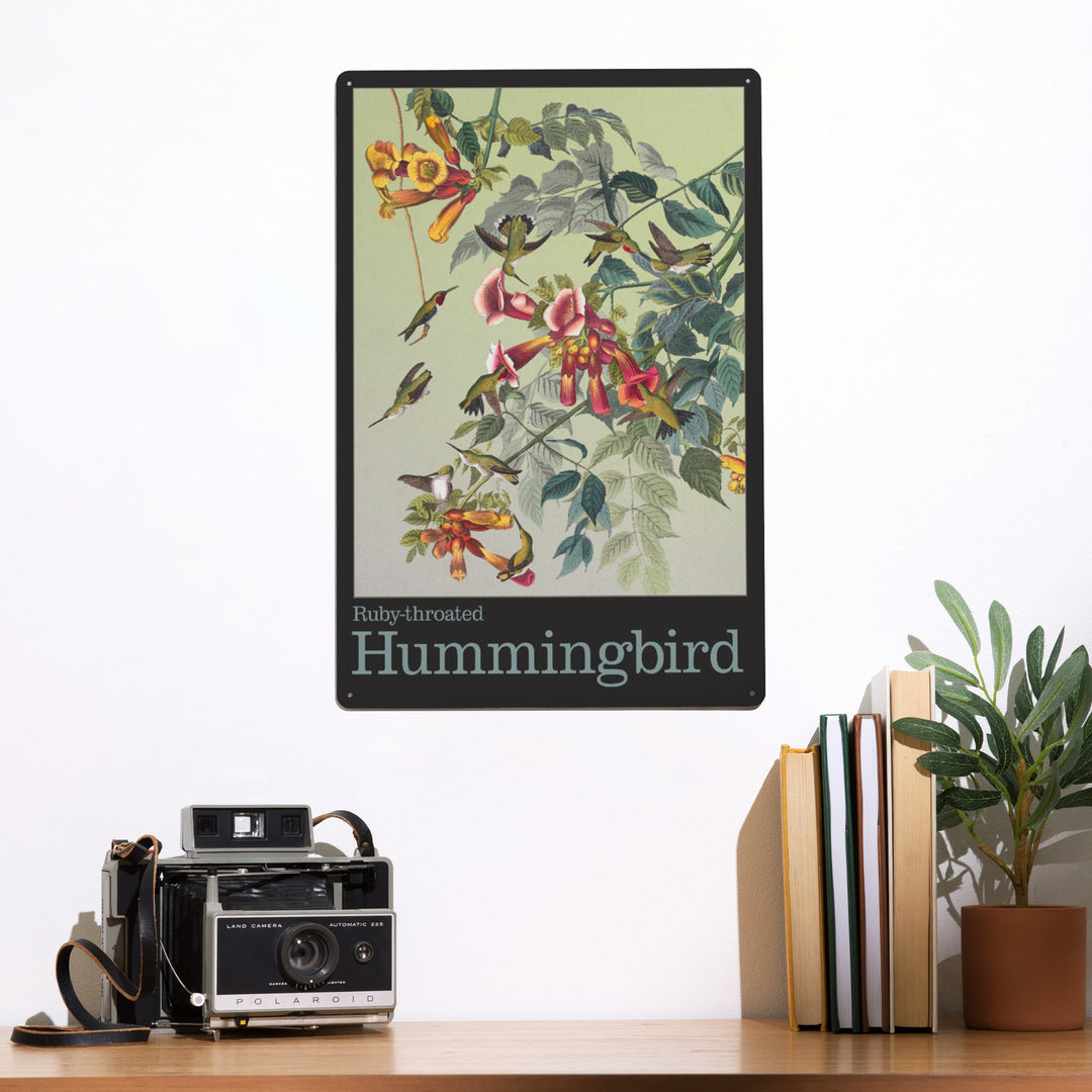 Audubon Birds, North America Hummingbird, 12x18 Metal Sign