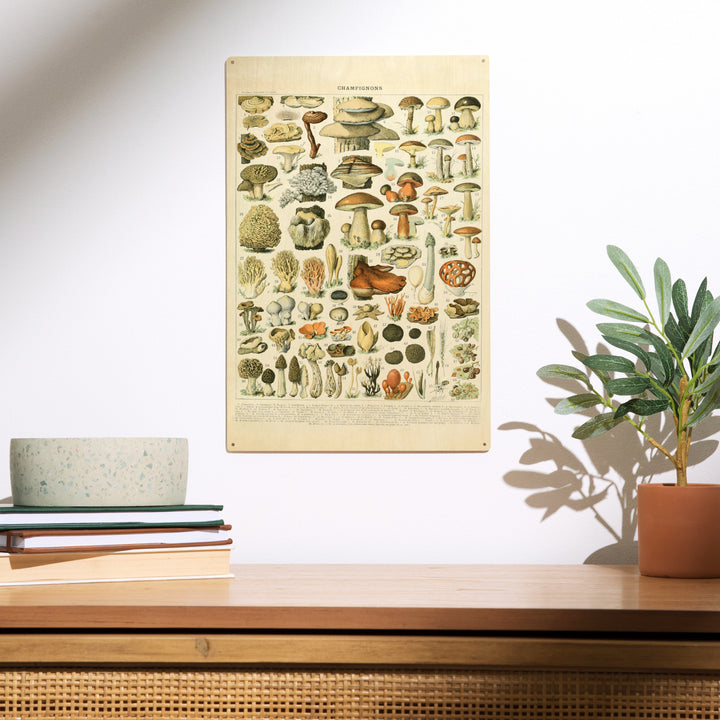 Mushrooms, A, Vintage Bookplate, Adolphe Millot, Wood Sign and Postcards