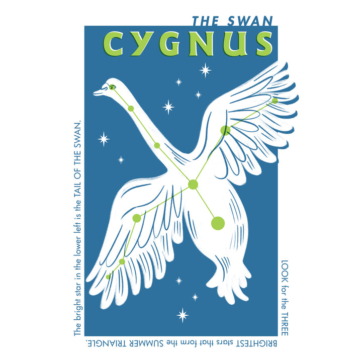 Drawings in the Stars Collection, Cygnus, The Swan Constellation, Stretched Canvas