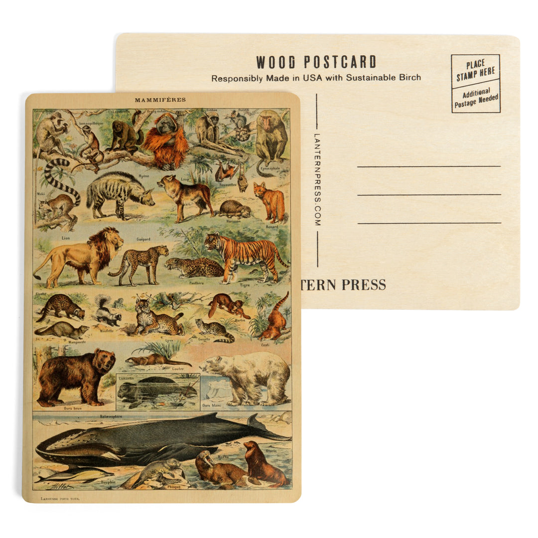 Mammals, D, Vintage Bookplate, Adolphe Millot, Wood Sign and Postcards