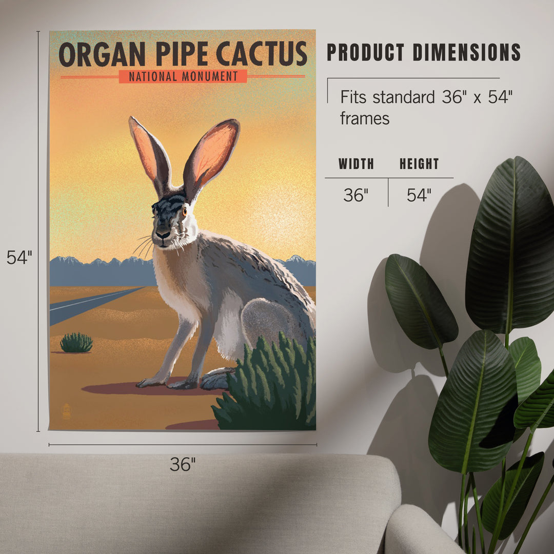 Organ Pipe Cactus National Monument, Arizona, Jackrabbit, Lithograph, Art & Giclee Prints