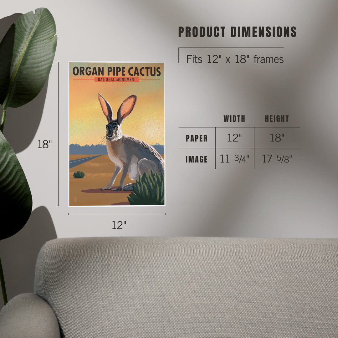 Organ Pipe Cactus National Monument, Arizona, Jackrabbit, Lithograph, Art & Giclee Prints