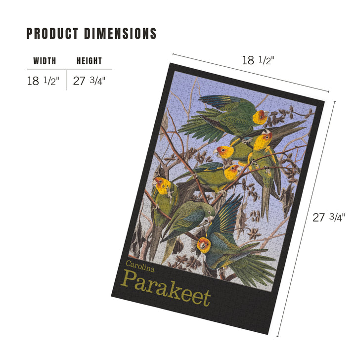 Audubon Birds of North America, Parakeet, 1000 Piece Jigsaw Puzzle