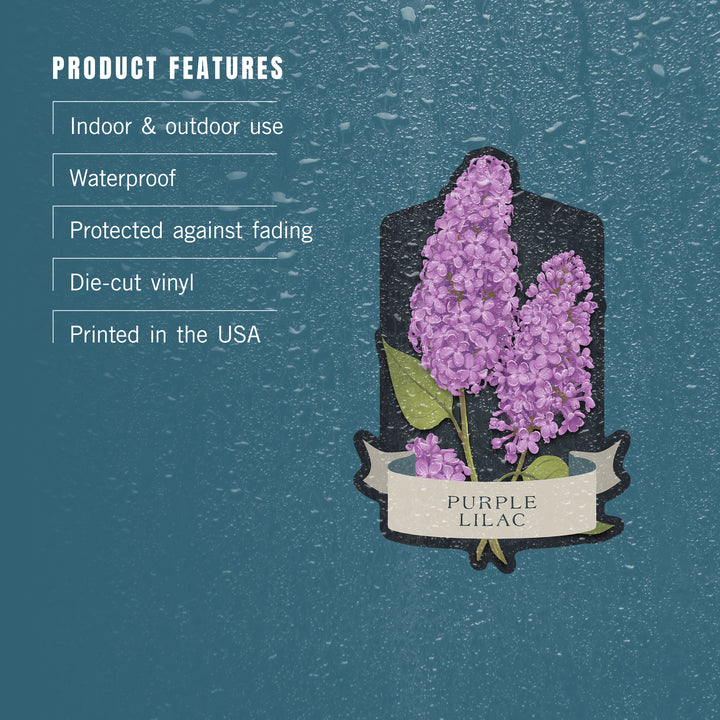 Vintage Flora Noir, Purple Lilac, Vinyl Sticker