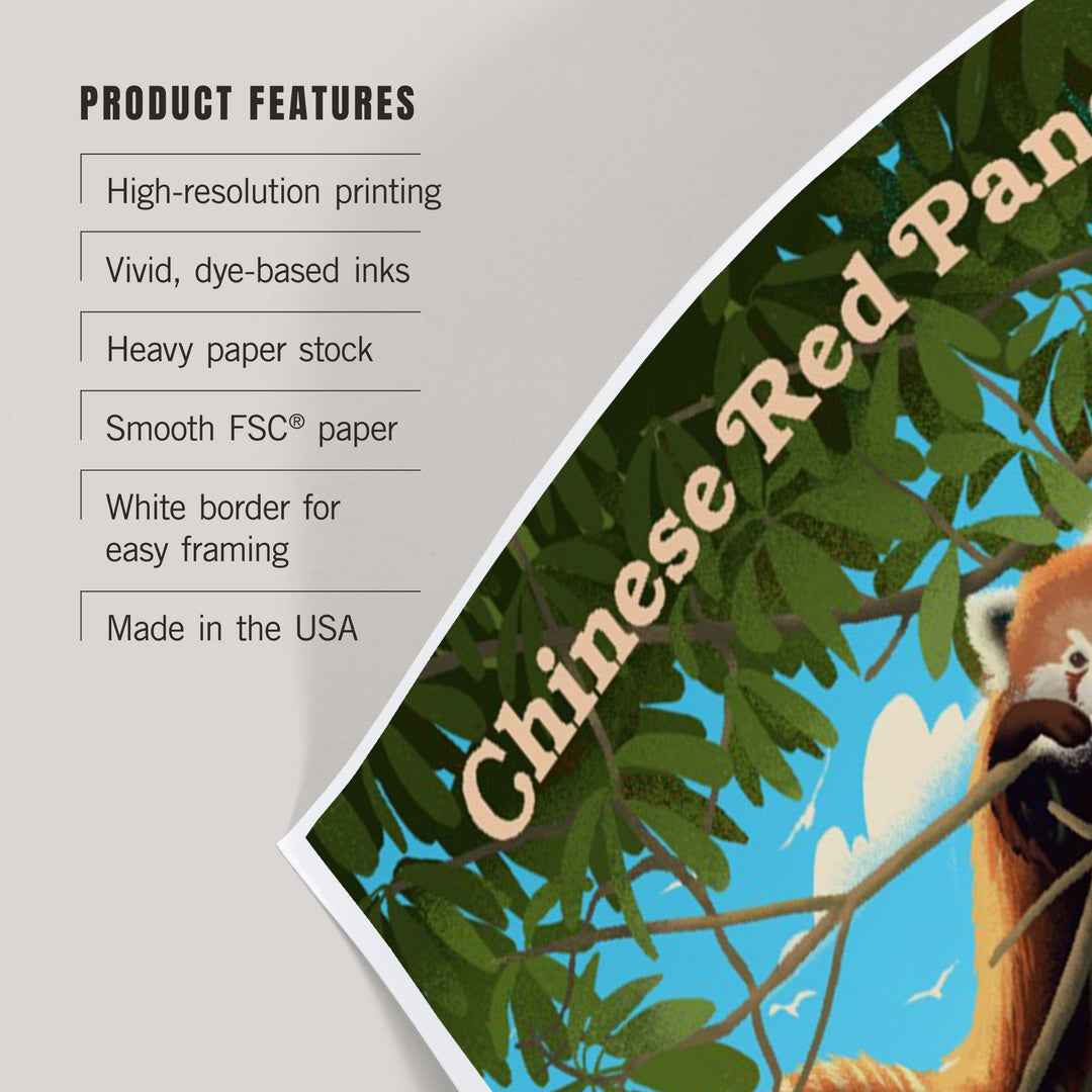 Lithograph Wildlife, Chinese Red Panda, Art & Giclee Prints