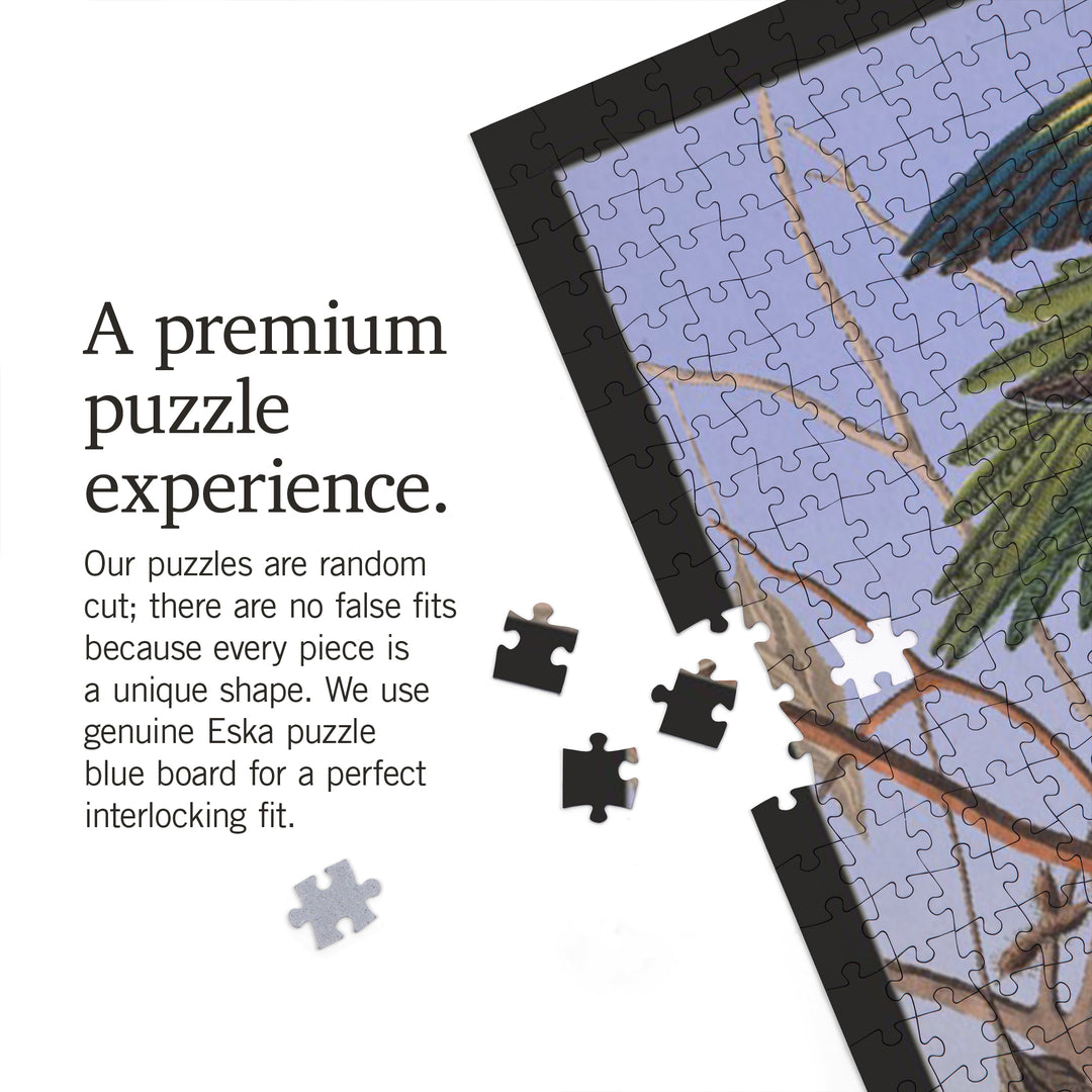 Audubon Birds of North America, Parakeet, 1000 Piece Jigsaw Puzzle